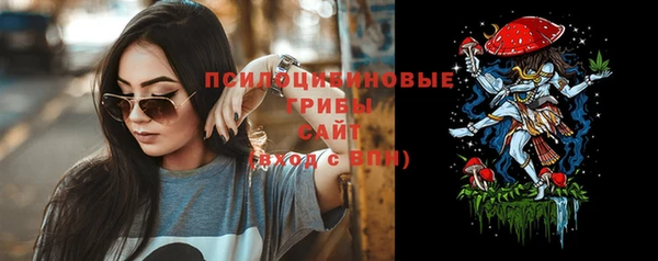 прущие грибы Баксан