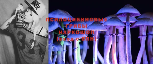прущие грибы Баксан