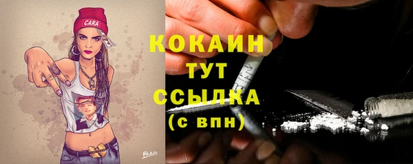 прущие грибы Баксан