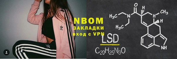прущие грибы Баксан