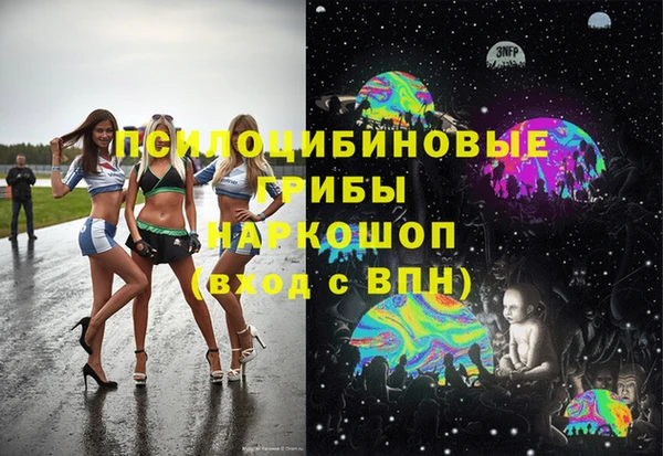 прущие грибы Баксан