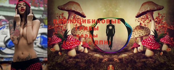 прущие грибы Баксан