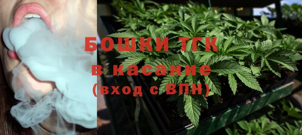 прущие грибы Баксан