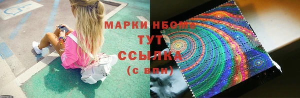 прущие грибы Баксан