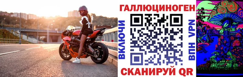 Псилоцибиновые грибы мицелий  Нестеровская 
